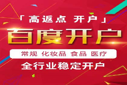 搜索引擎营销（SEM）的创意与执行——以多个行业成功案例为教学