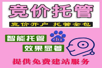 搜索引擎竞价推广：某行业领先企业的成功之路